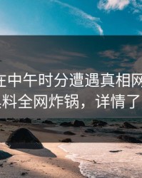 圈内人在中午时分遭遇真相网友炸锅，黑料全网炸锅，详情了解